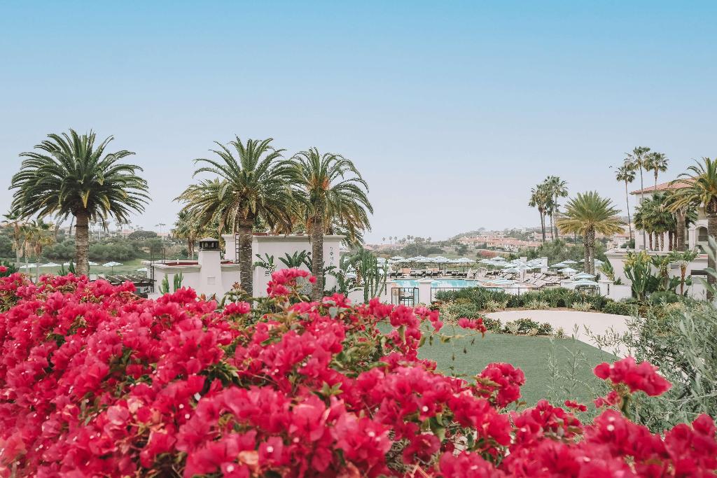 Waldorf Astoria Monarch Beach photo 23