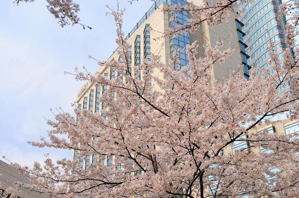 Grand Hyatt Tokyo, Tokyo