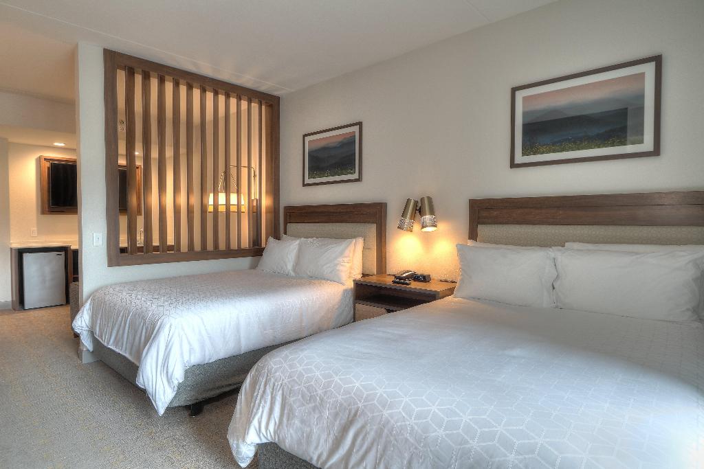 Holiday Inn Hotel & Suites Pigeon Forge Convention