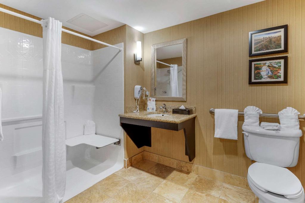 Comfort Suites North Knoxville