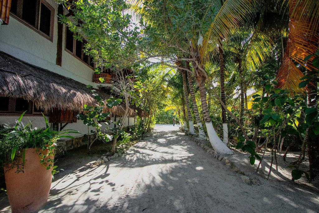 Las Nubes de Holbox photo 127