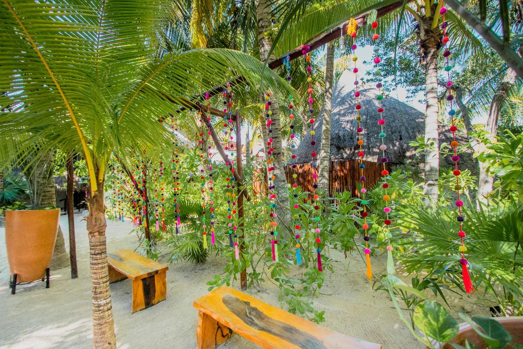 Las Nubes de Holbox photo 170