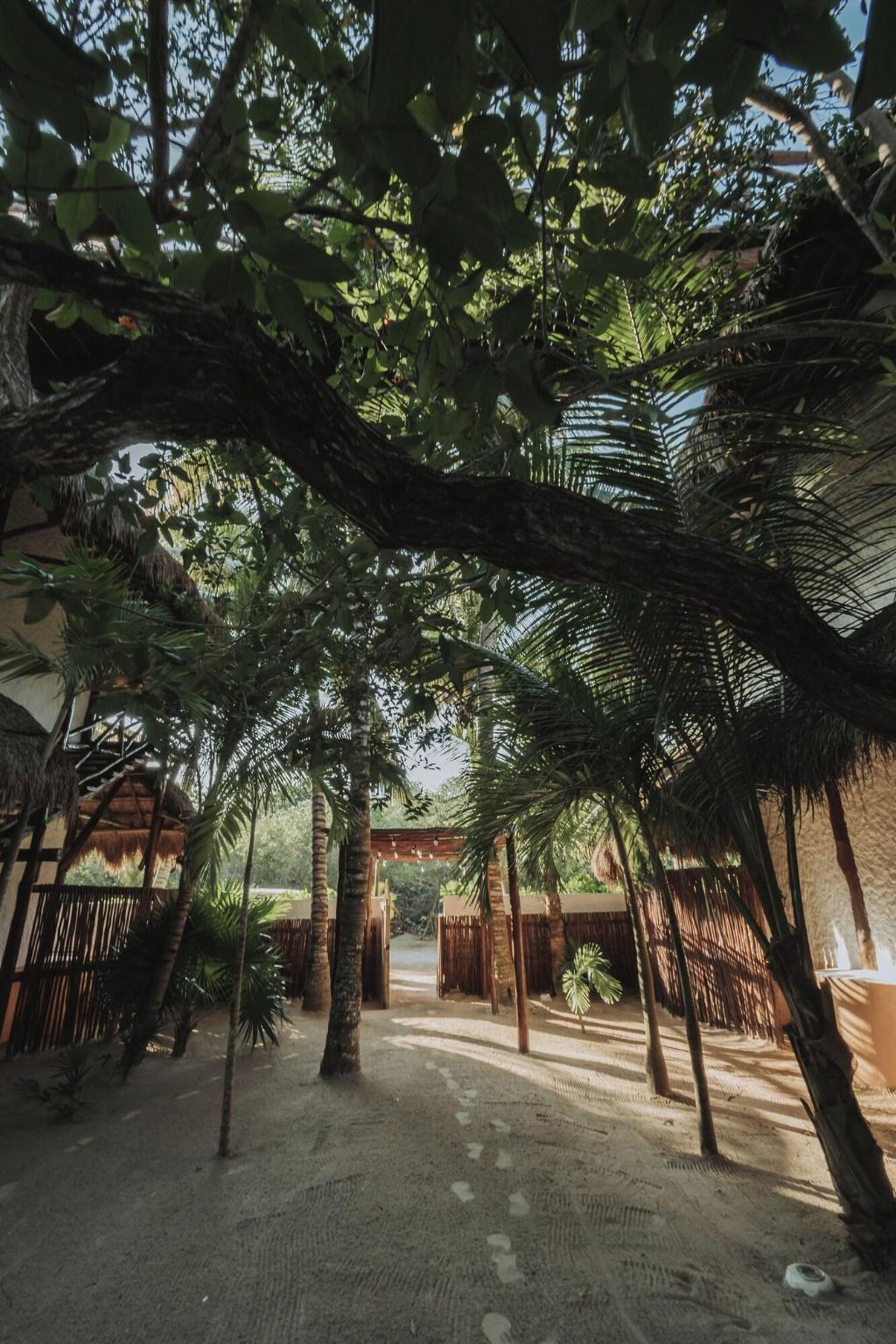 Las Nubes de Holbox photo 30