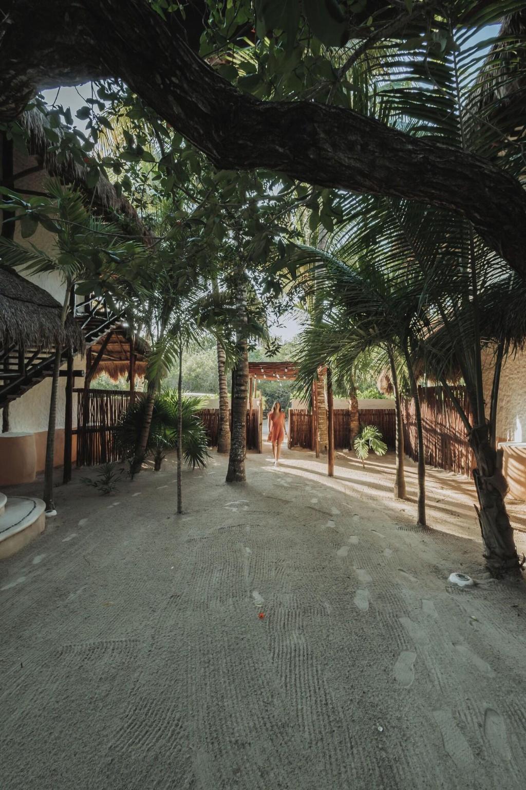 Las Nubes de Holbox photo 29