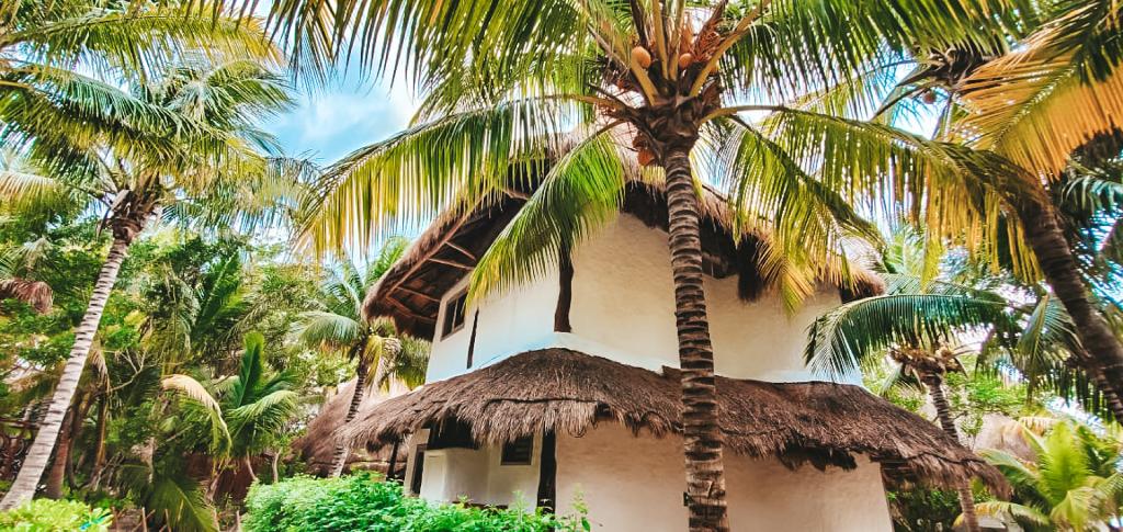 Las Nubes de Holbox photo 154
