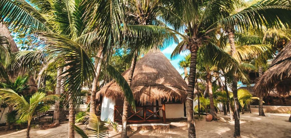 Las Nubes de Holbox photo 135