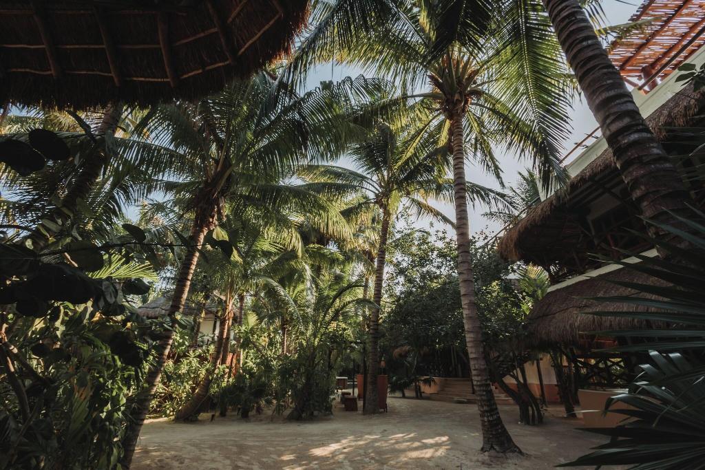 Las Nubes de Holbox photo 101