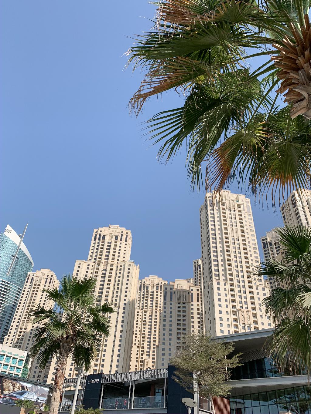 Hotel Suha JBR Hotel Apartments, Vereinigte Arabische Emirate, Dubai. Großes 31