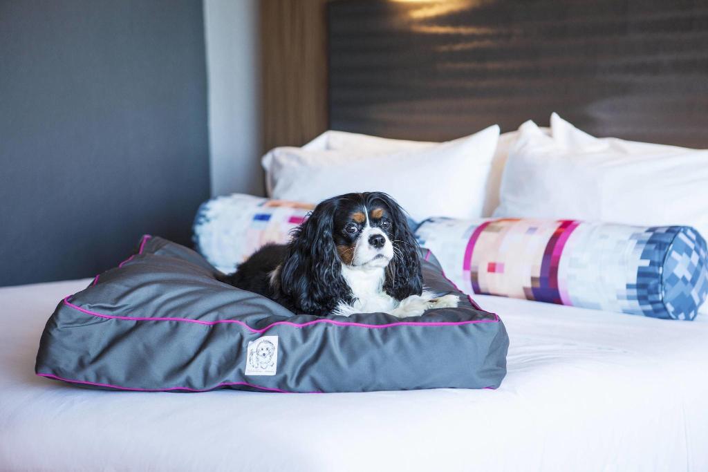 Hotel Aloft Miami Dadeland, USA, Miami. Großes 1