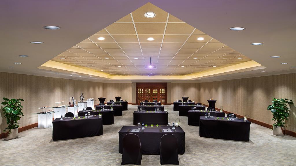 Dusit Ajman Resort & Villas - Conferences