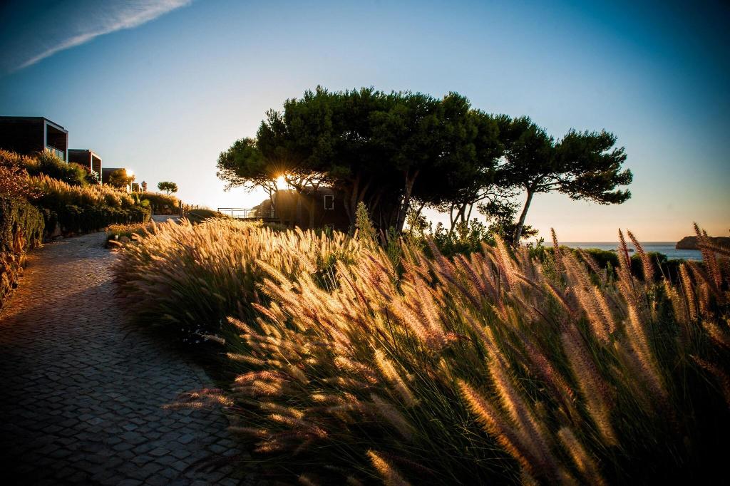 Martinhal Sagres Beach Family Resort Hotel photo 72