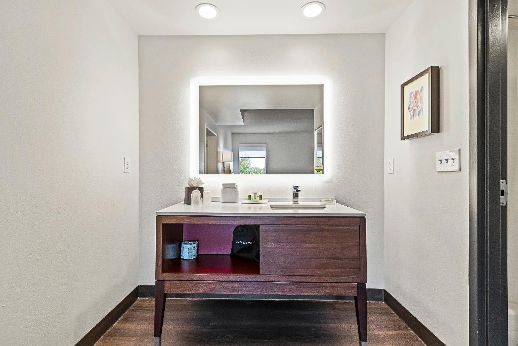 Holiday Inn St. Petersburg West photo 54