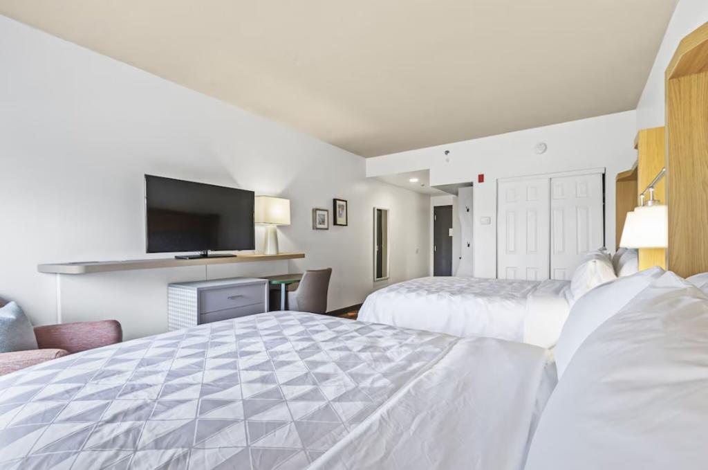 Holiday Inn St. Petersburg West photo 59