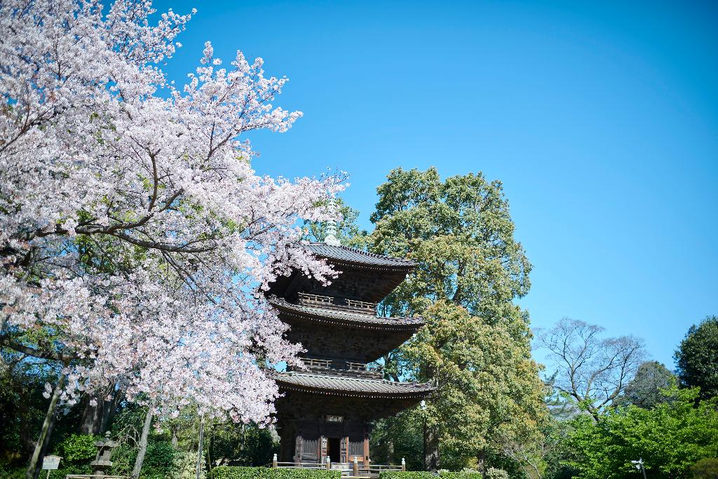 Hotel Chinzanso Tokyo photo 5
