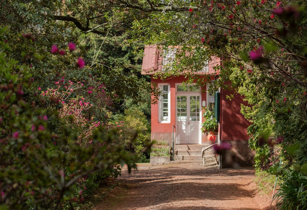 Hotel Quinta Santo Antonio Da Serra, Portugal, Santo António da Serra. Großes 33