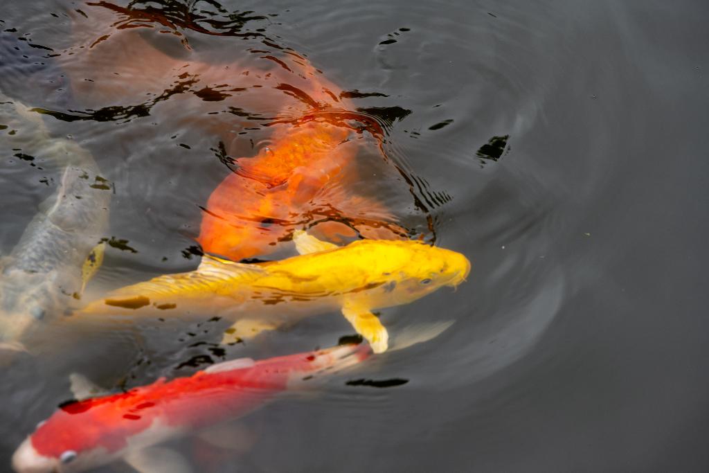 Hotel Pezula Nature Retreat, Südafrika, Knysna. Großes 1