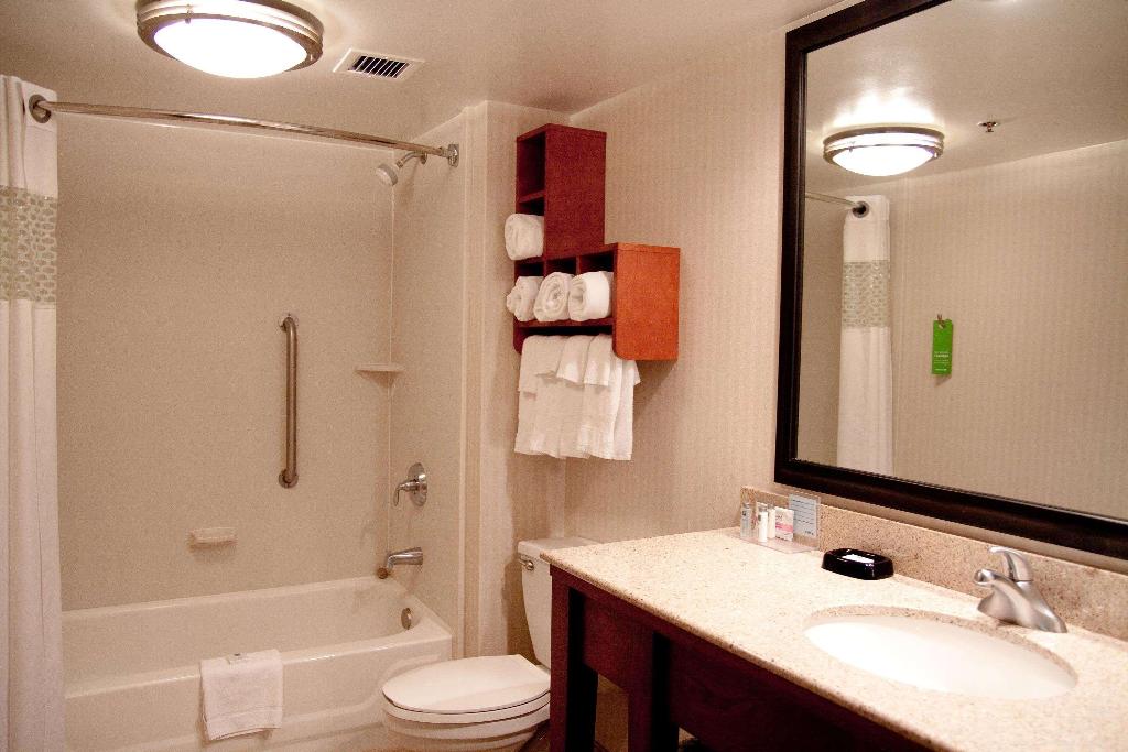Hampton Inn Charleston-Downtown (Civic Center)