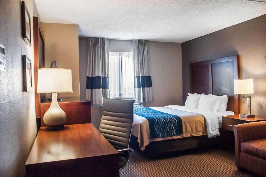 Comfort Inn University Amherst Area