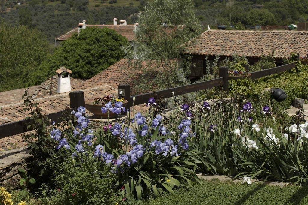Hotel Gullu Konaklari, Türkei, Selcuk. Großes 56