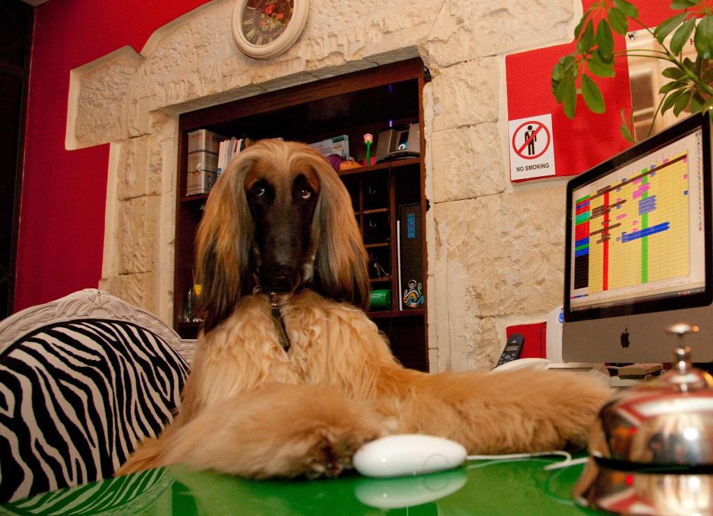 Hotel Miramare Cagliari Hotel Museo, Italien, Cagliari. Großes 2