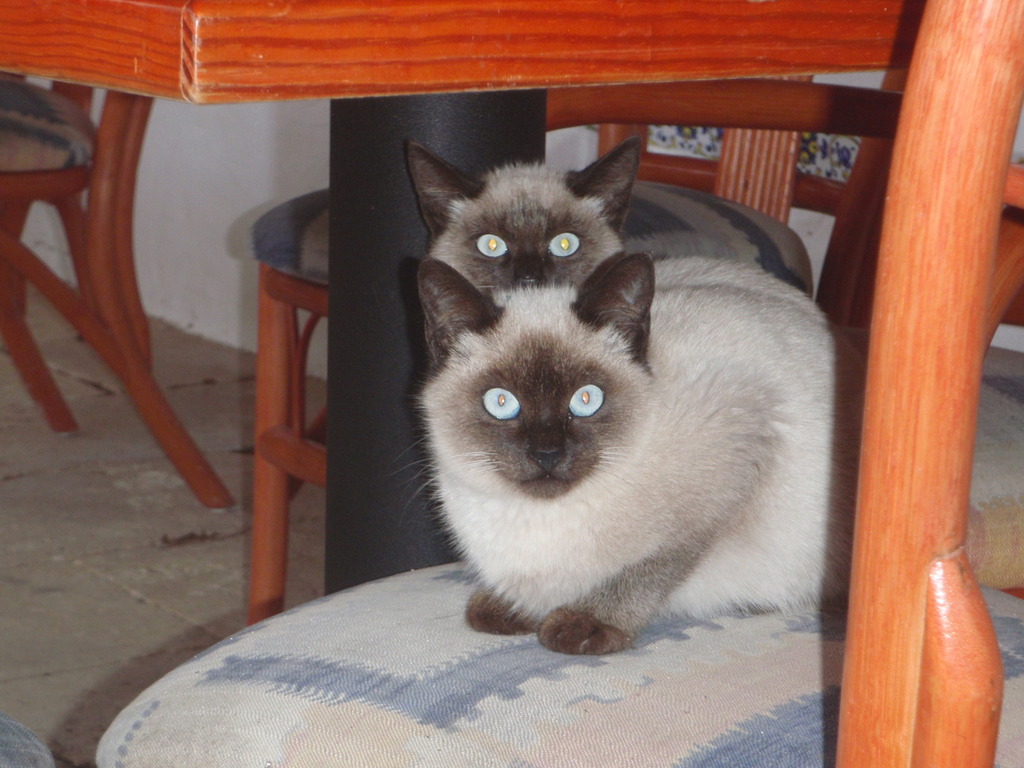 Hotel Matchani Gran, Spanien, Sant Climent. Großes 2