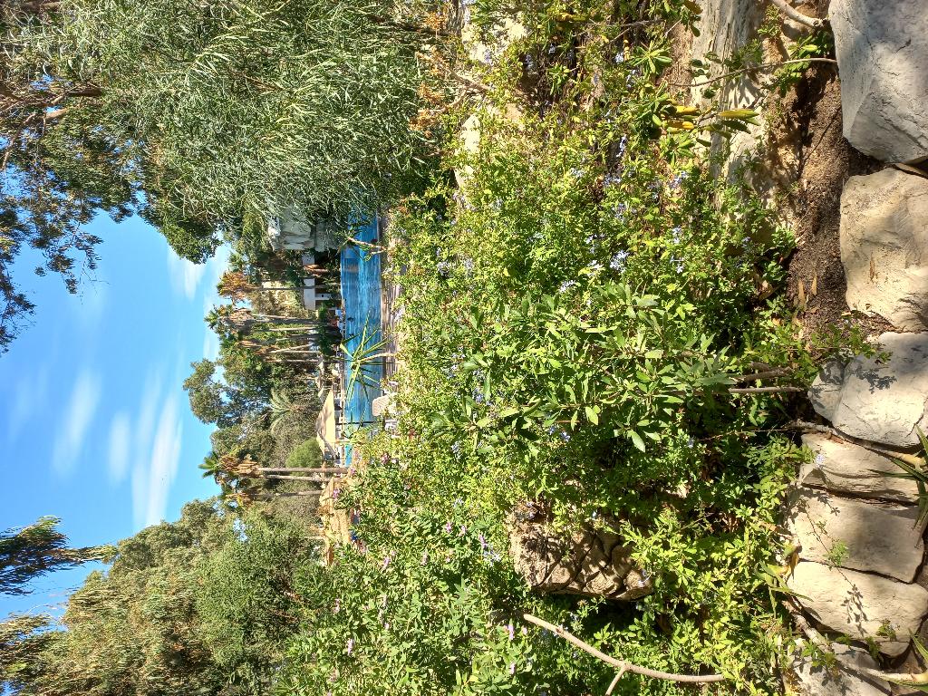 Tunisia Lodge photo 20
