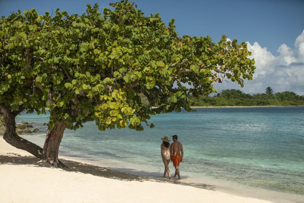 The Ritz-Carlton St. Thomas photo 433