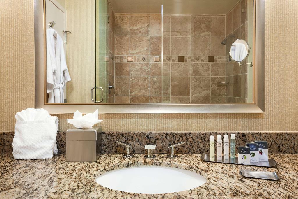 DoubleTree by Hilton Dallas - Love Field