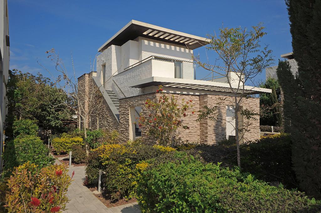 E-Hotel photo 15