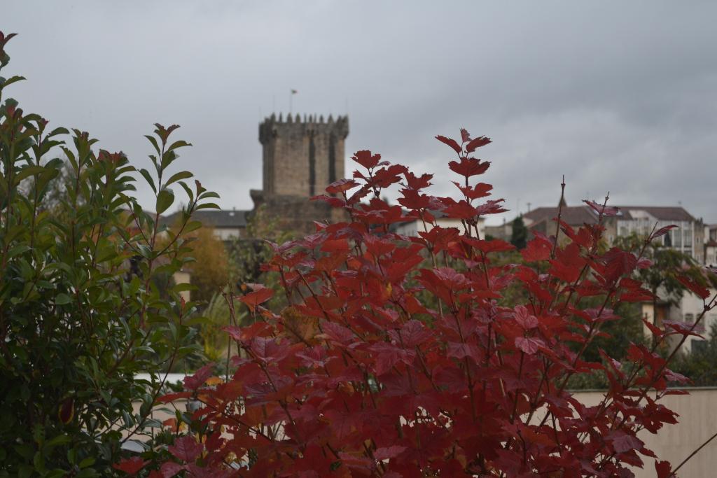 Hotel Premium Chaves - Aquae Flaviae, Portugal, Chaves. Großes 63