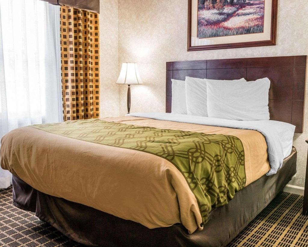 Econo Lodge & Suites Downtown