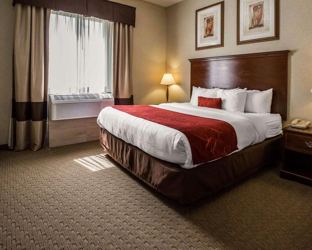 Spark by Hilton Stafford Sugar Land