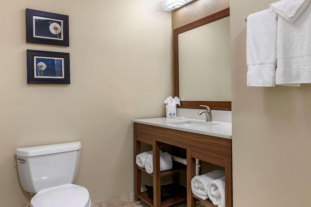 Comfort Inn & Suites Tifton Area