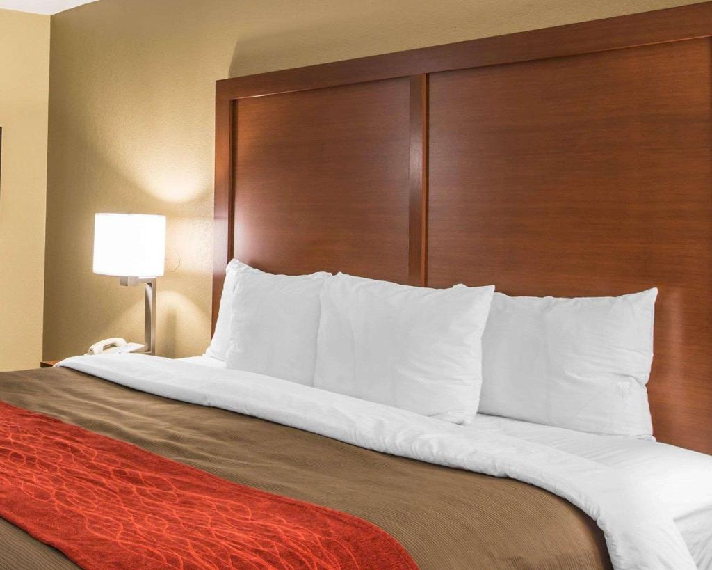 Comfort Inn West Asheville