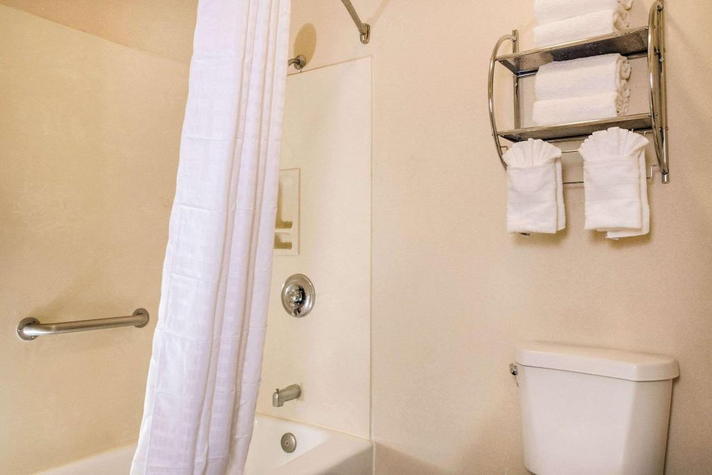 Quality Inn & Suites Lathrop