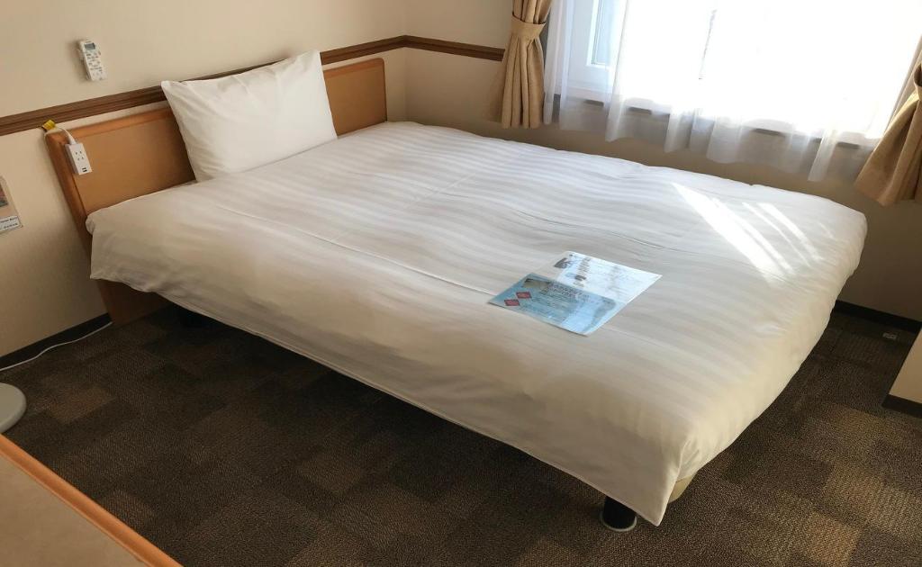 Toyoko Inn Asahikawa Ekimae Ichijo-dori