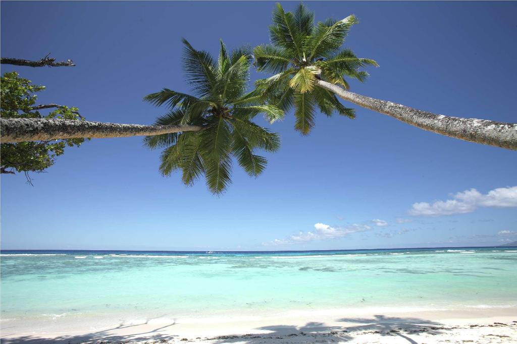 Hilton Seychelles Labriz Resort & Spa photo 265