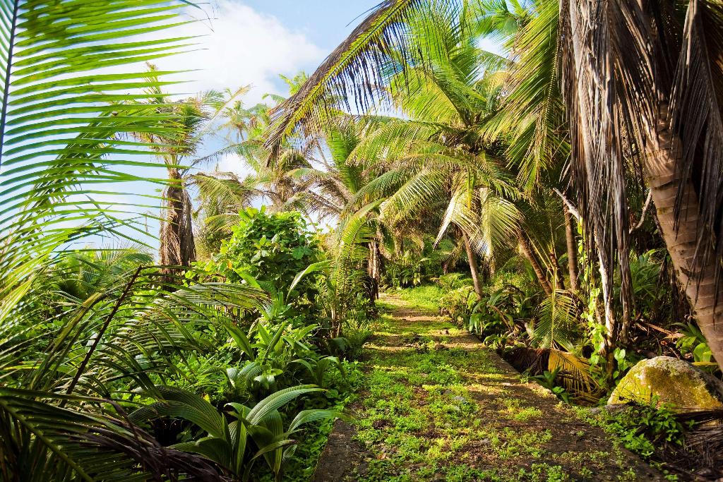 Hilton Seychelles Labriz Resort & Spa photo 231