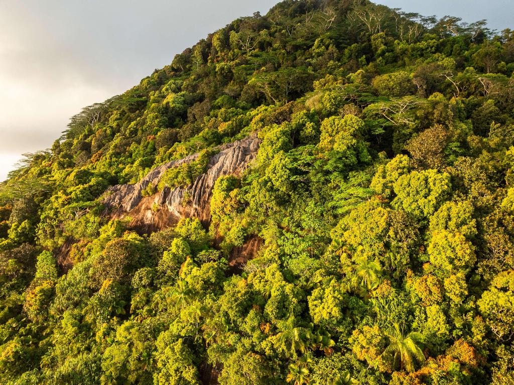 Hilton Seychelles Labriz Resort & Spa photo 236