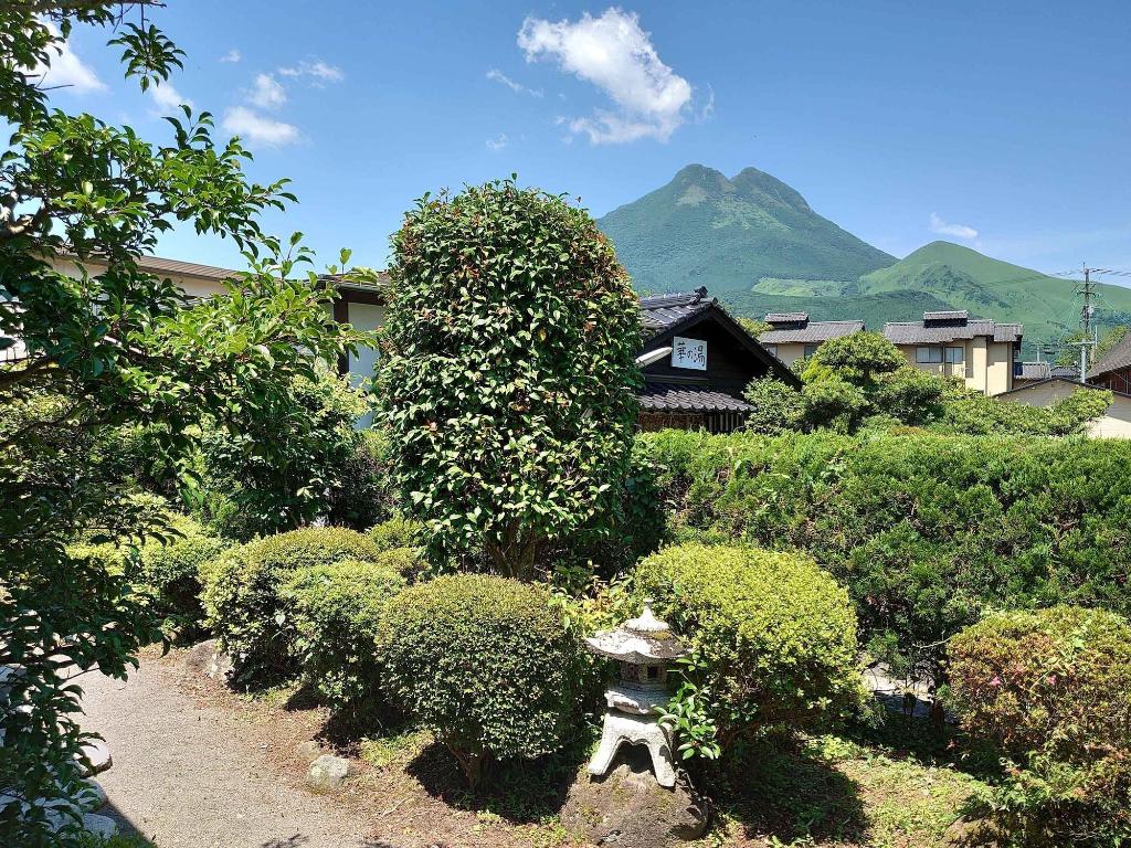 Hasuwa Inn