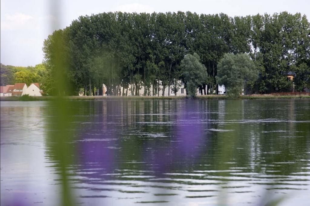 Chateau de Lazenay en Cher (departamento)