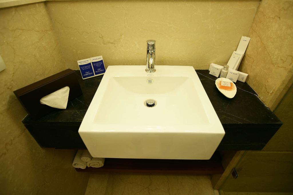 Majestic Court Sarovar Portico