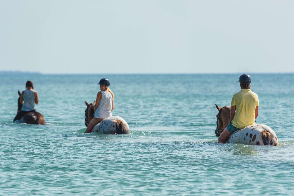 Hotel Sea Cliff Resort and Spa Zanzibar, Tansania, Mangapwani. Großes 77