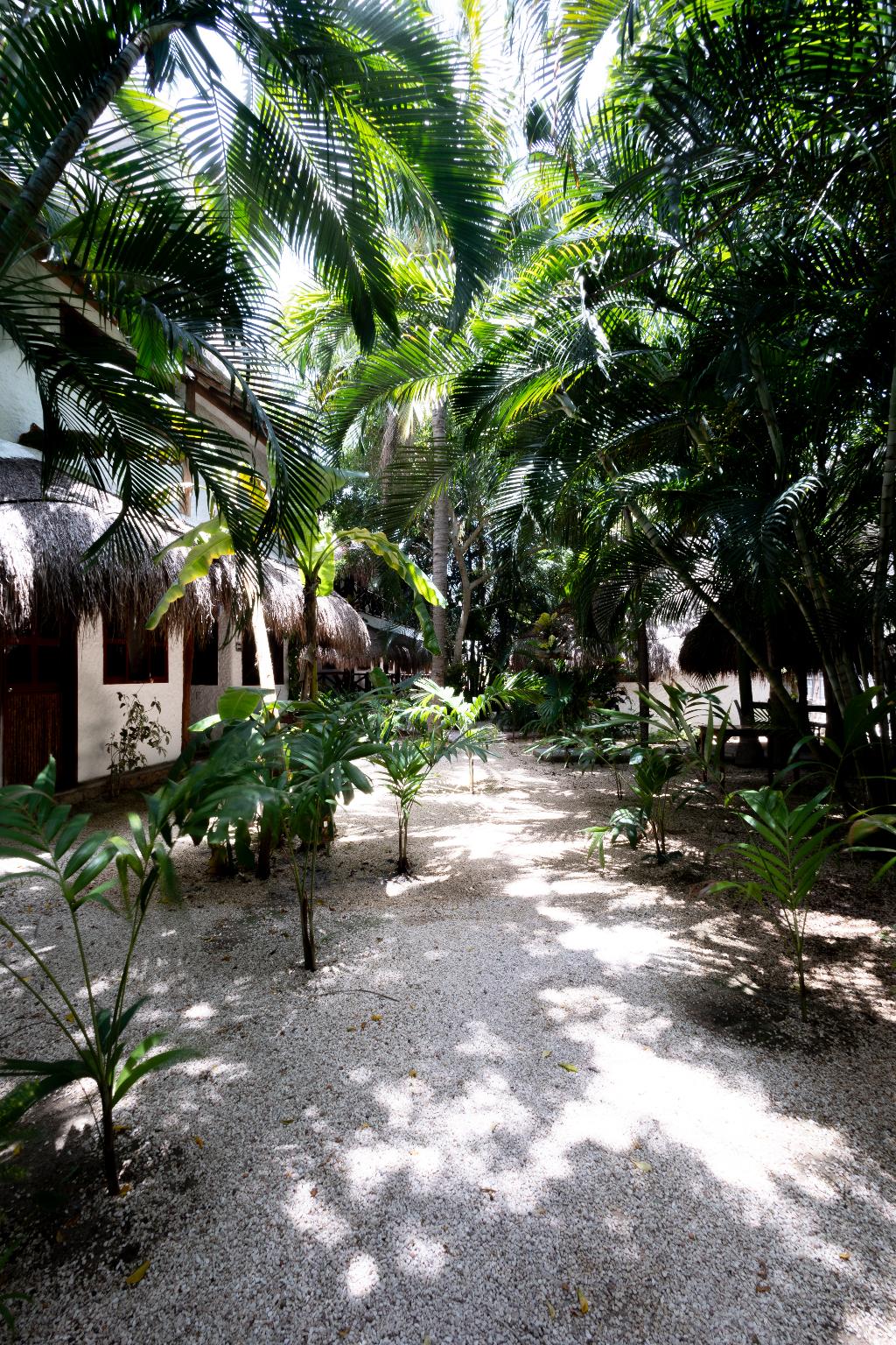 Hotel Hotel Casa Barbara Holbox, Mexiko, Isla Holbox. Großes 51