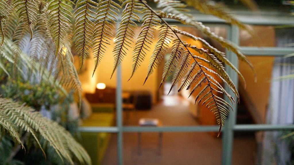 hotel-thumb