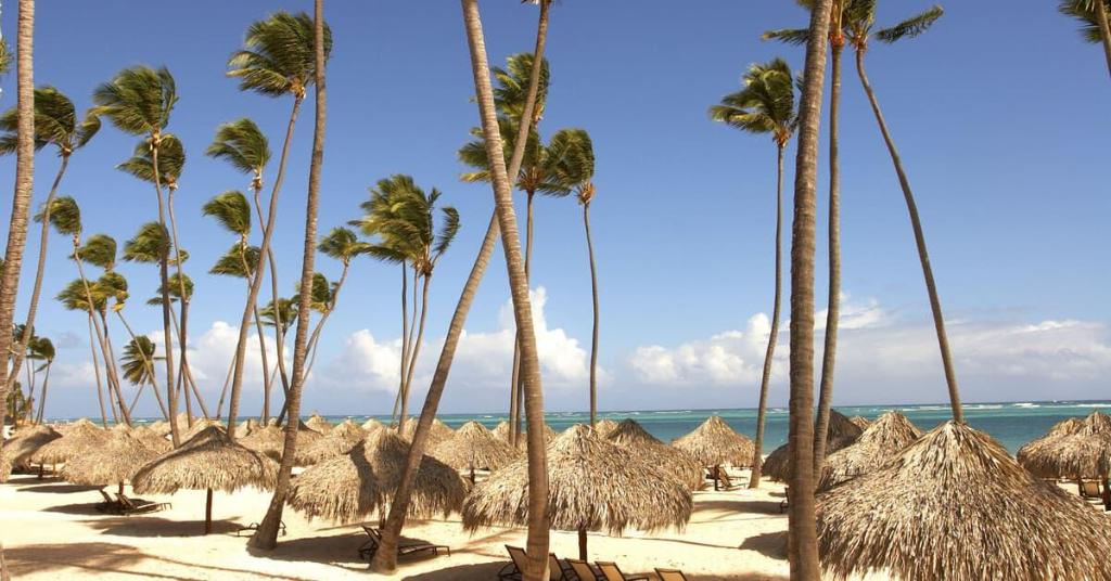 Zel Punta Cana photo 454