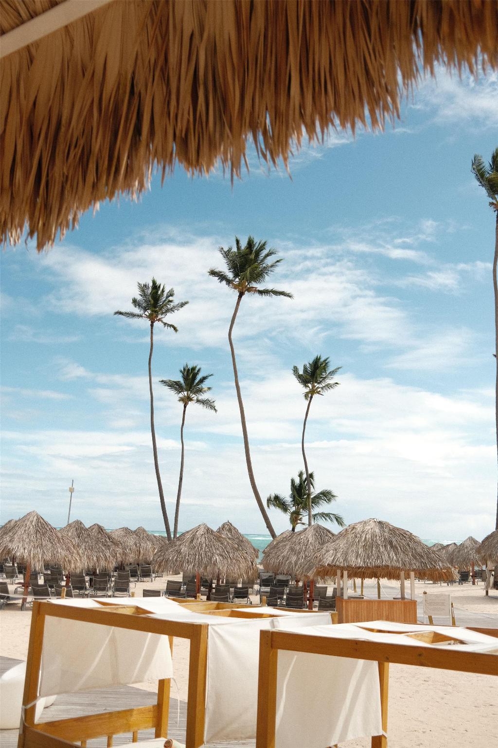 Zel Punta Cana photo 90