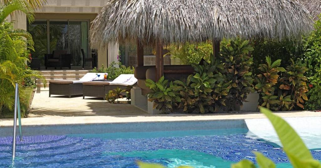 Zel Punta Cana photo 33