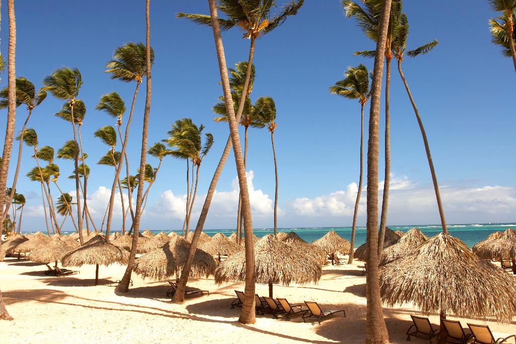 Zel Punta Cana photo 389