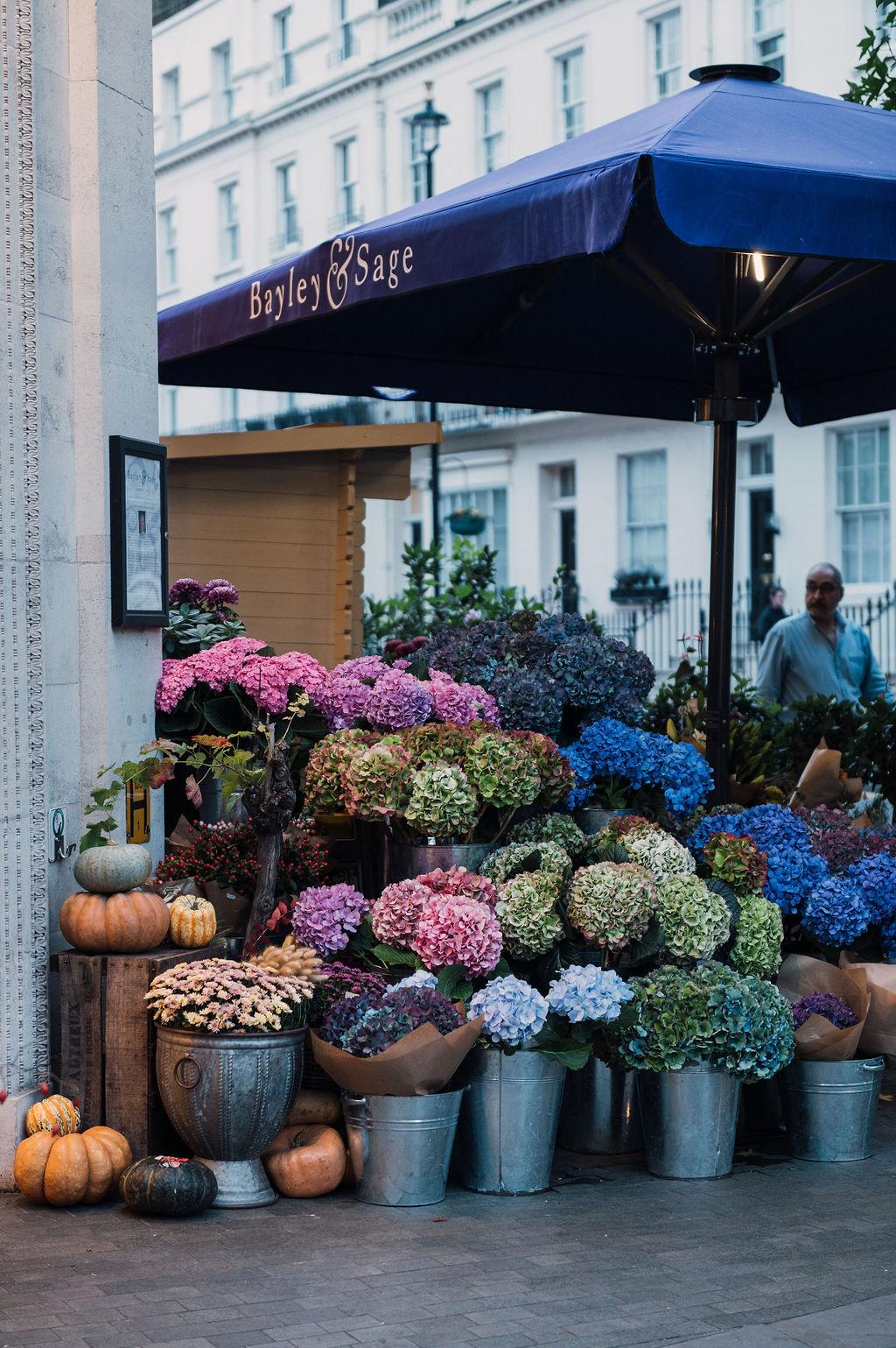 Hotel Tophams Hotel Belgravia, Großbritannien, London. Großes 62